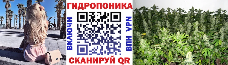 Где купить Бологое Конопля Cocaine Альфа ПВП ГАШ