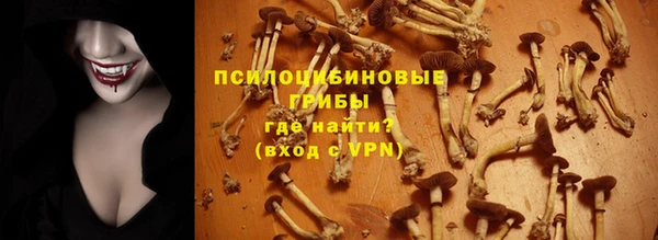 стафф Алзамай