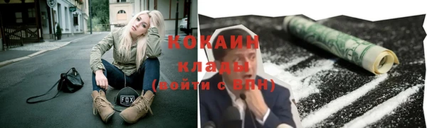 стафф Алзамай
