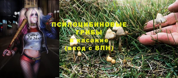 альфа пвп Саяногорск