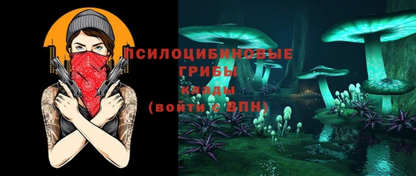 ПСИЛОЦИБИНОВЫЕ ГРИБЫ Алексин