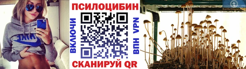 ОМГ ОМГ рабочий сайт  Бологое  Псилоцибиновые грибы Magic Shrooms  купить закладку 
